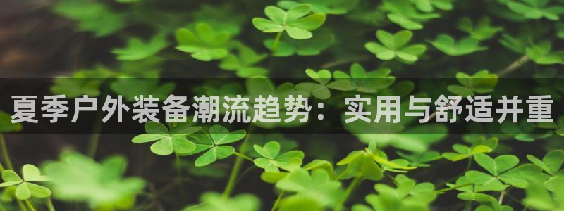 新宝gg账号