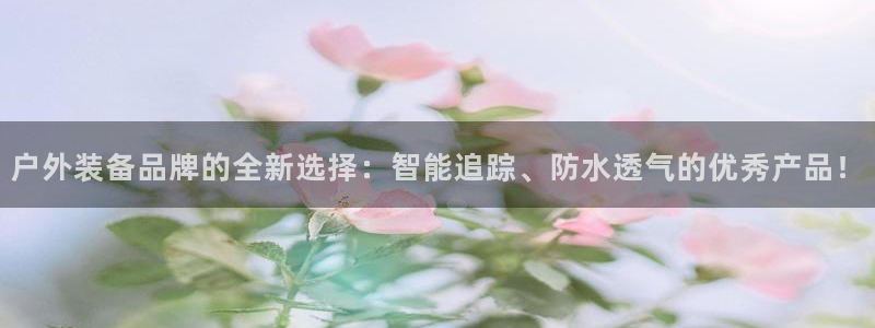 新宝gg招商致胜团队