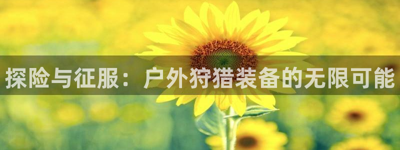 新宝gg登录页面