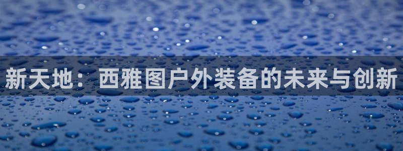新宝GG链接