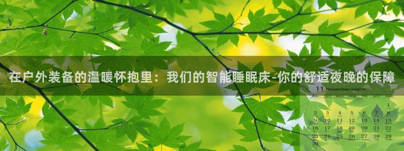 新宝gg专线