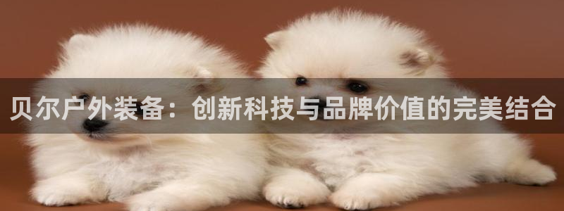 新宝gg返点模式