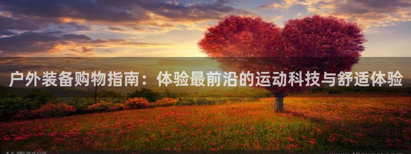 新宝gg怎样代理