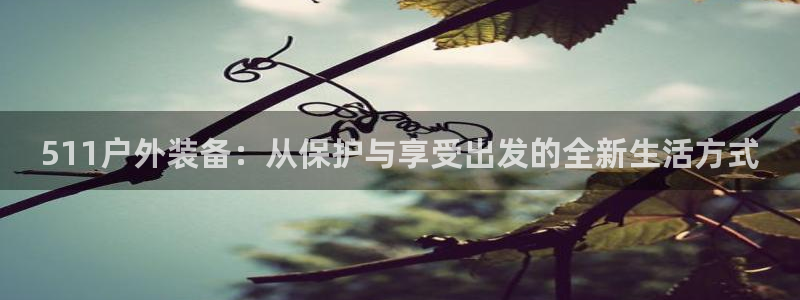 新宝gg注册jhjinde