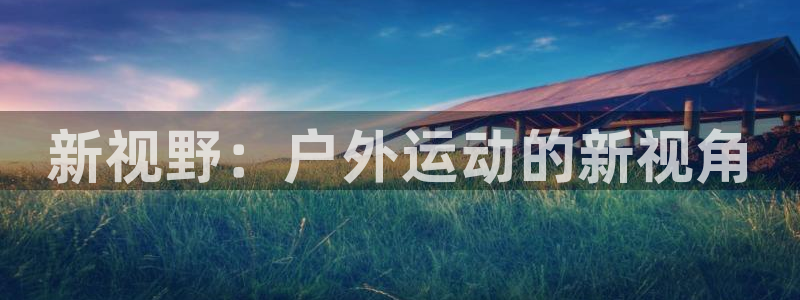 新宝gg下载官网下载