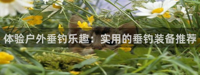 新浪新闻新宝gg