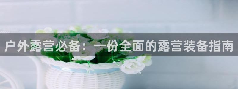 新宝gg如何做到总代理