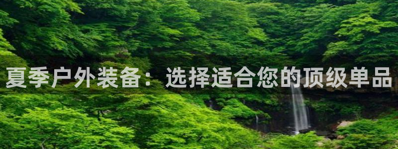 新宝gg软件下载