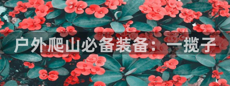 新宝gg代理