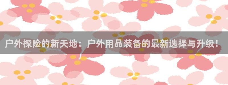 新宝gg3