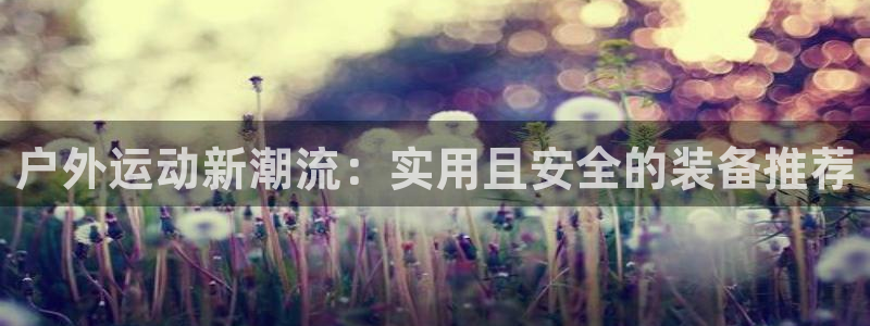 新宝GG的老板
