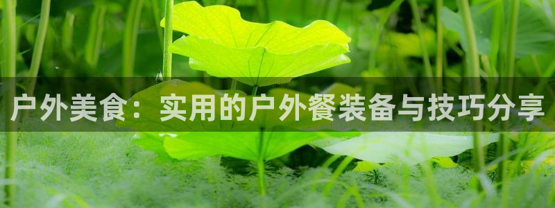 新宝gg 开户