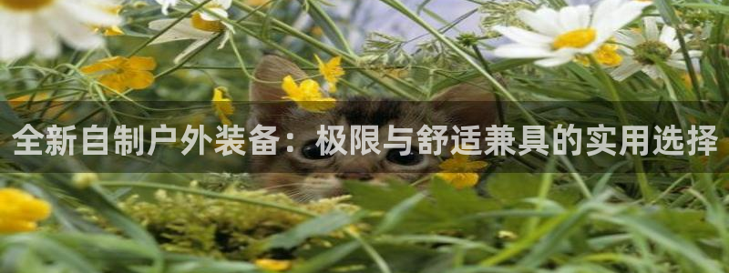 新宝六与新宝gg