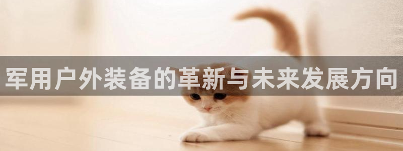 新宝gg申请账号