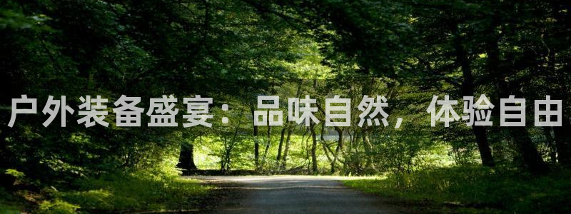 新宝gg如何登录