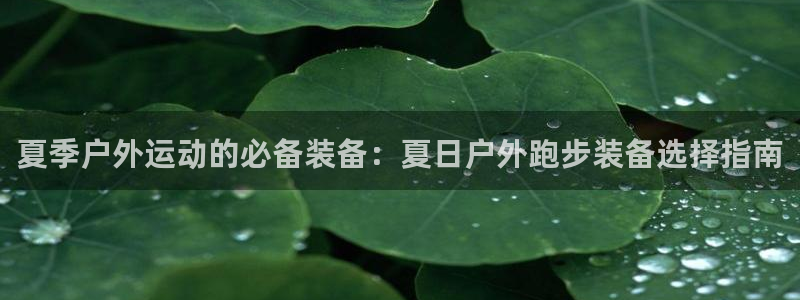 新宝gg注册q -26880