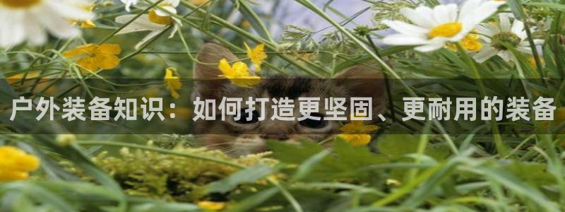 新宝gg注册 776317