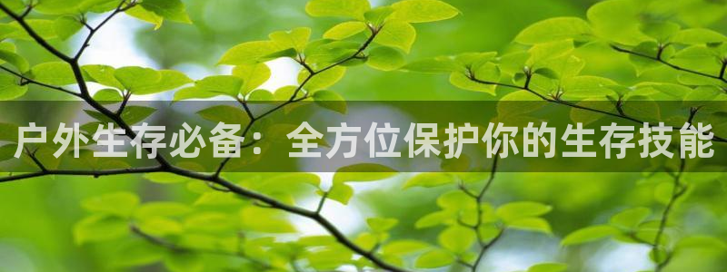 新宝 gg平台