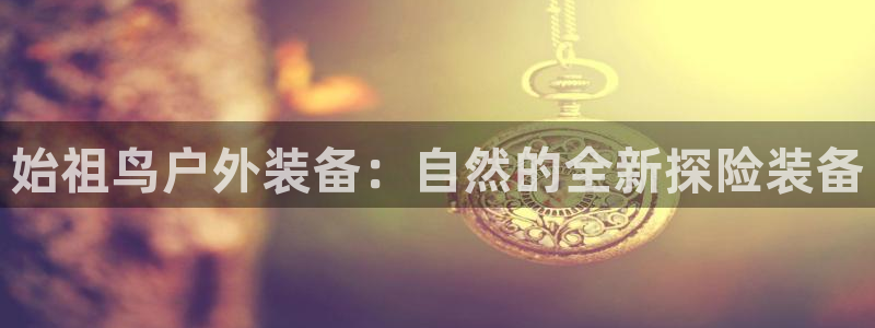 新宝gg什么