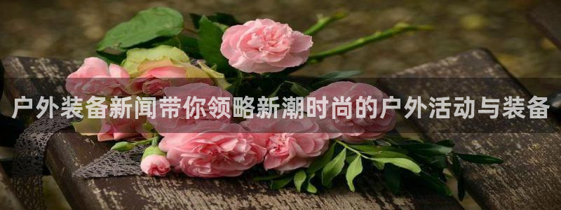 新宝gg娱乐盟主