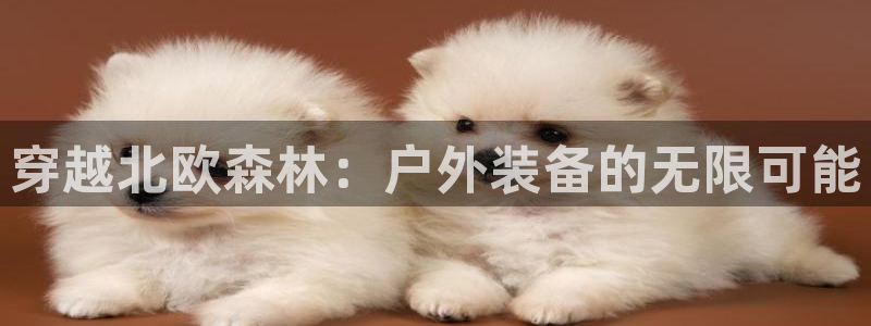 新宝gg创造奇迹平台