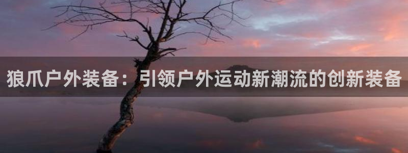 新宝gg平台开户