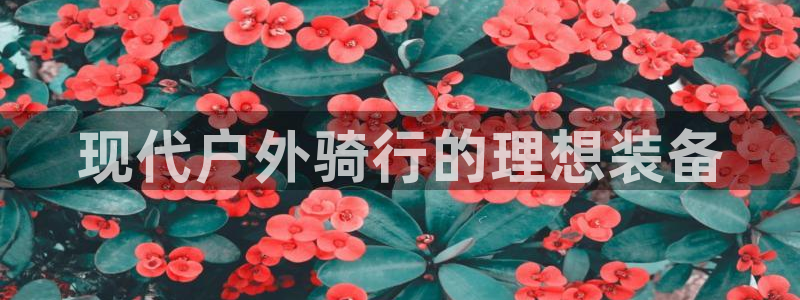 广东新宝电器gg