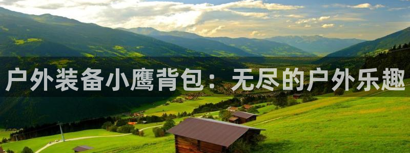 新宝gg首页平台