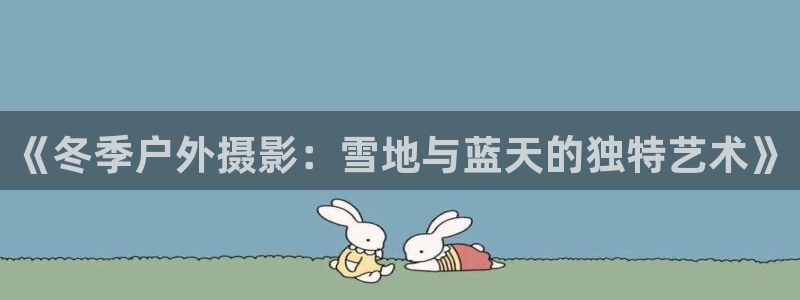 新宝gg返点1956是多少