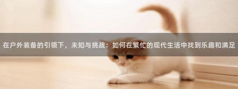 新宝gg代理条件