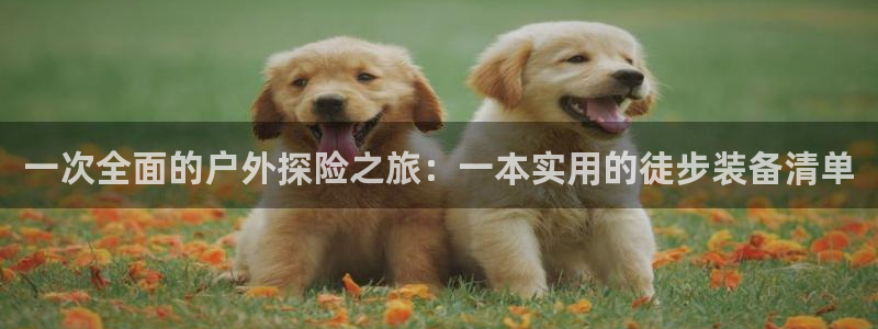 新宝gg娱乐盟主