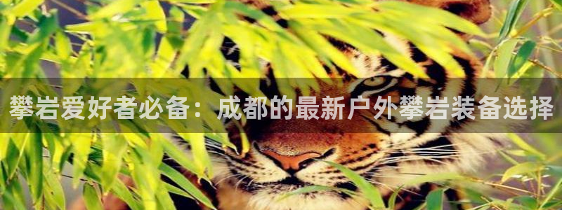 新宝gg干嘛