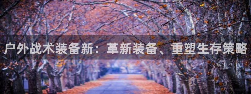 新宝gg招商89188