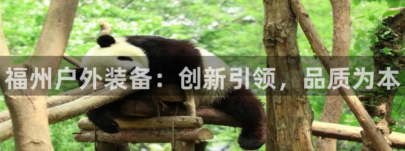 新宝gg最新章节