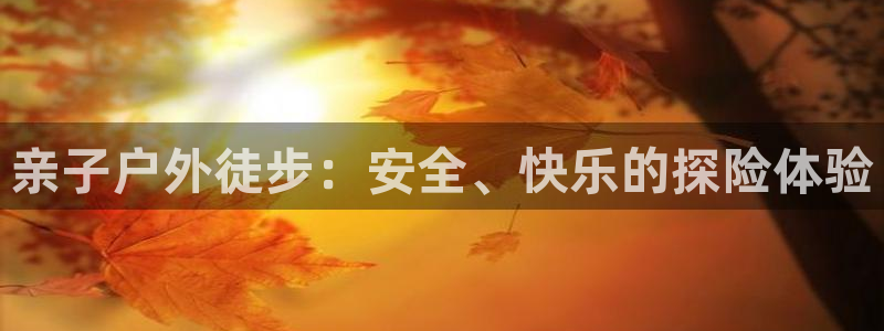 新宝gg游戏登录