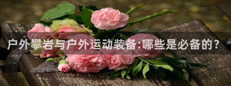 新宝gg试玩
