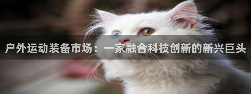 新宝gg开奖