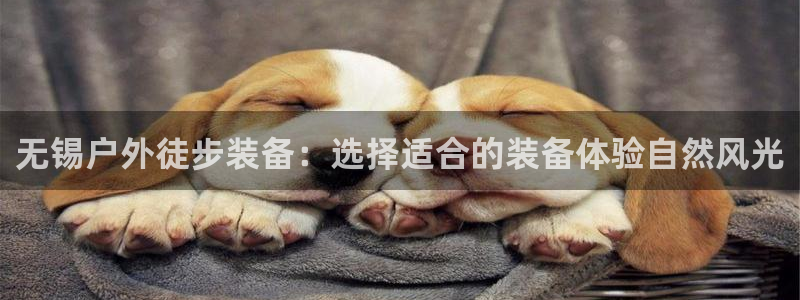 新宝gg违法