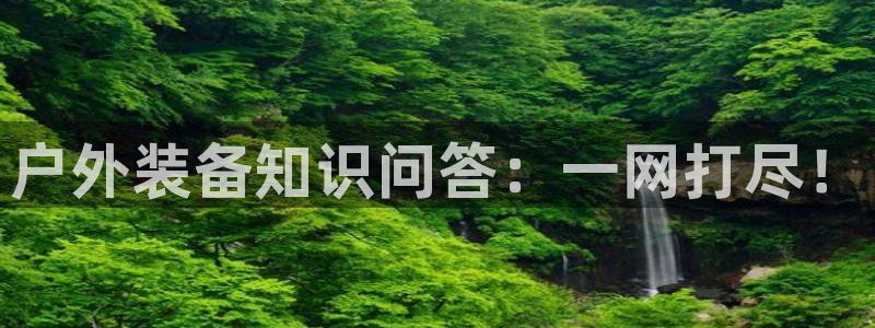 新宝gg论坛