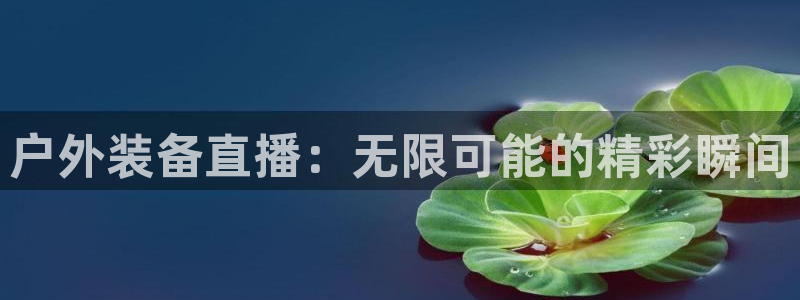 新宝GG网址新宝2