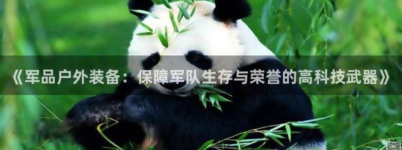 新宝gg注册平台