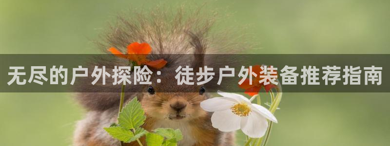 新宝gg注册cqdellar