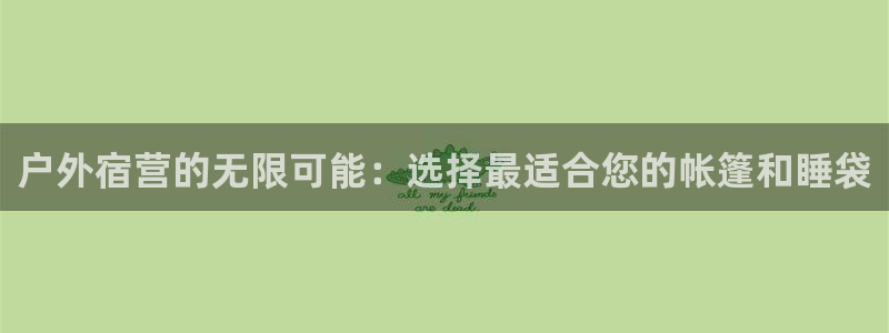 新宝gg一创造奇迹