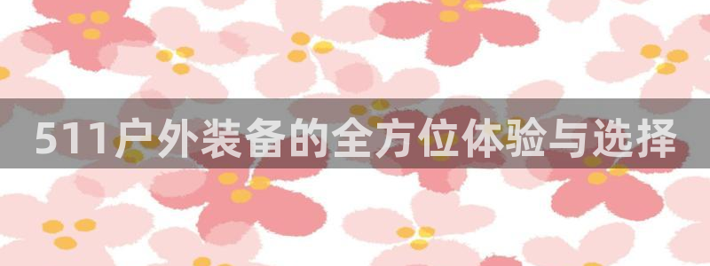 新宝GG创业奇迹