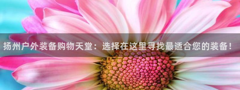 新宝gg靠谱吗