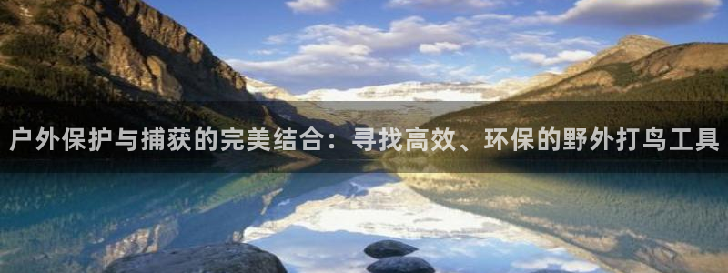 新宝gg如何赚钱