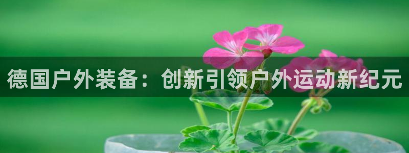 新宝gg主管花木兰