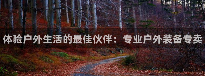 新宝gg登录链接