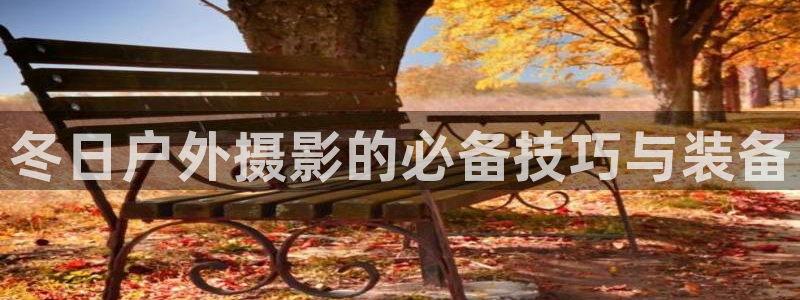 新宝gg招商致胜团队