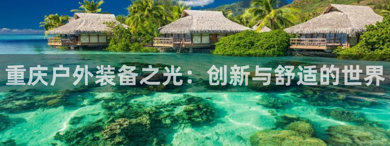 新宝gg主管都是谁